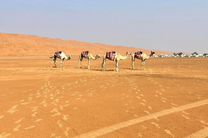 Luxury Sunset Desert Safari - Booking and Cancellation Policies