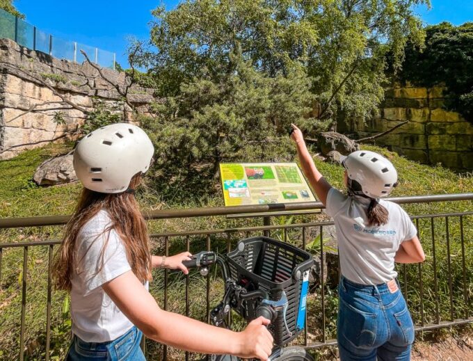 Lyon: Parc Tête Dor Bike Tour - Safety and Comfort