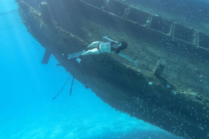 Maafushi: Ship Wreck & Nurse Shark Snorkeling With Dolphin Watching - Pricing and Group Size