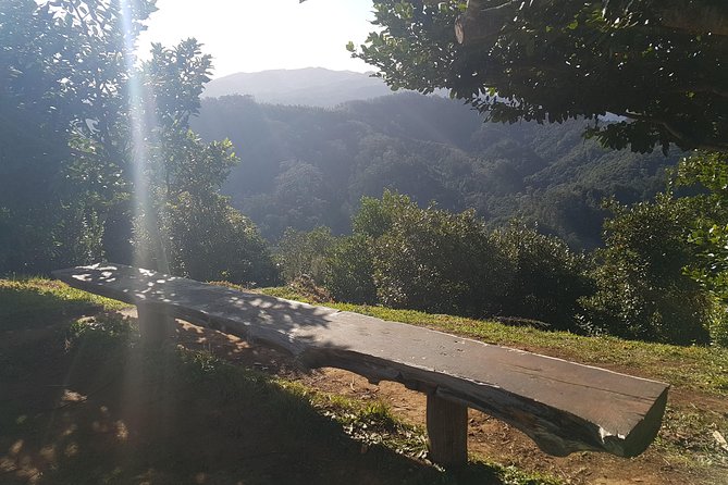 Madeira: Vereda Das Funduras Private Walking Tour PR5 - Practical Tips
