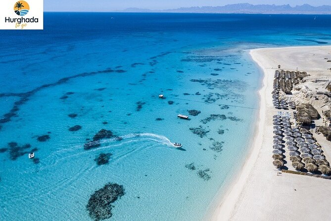 Mahmya Island Snorkeling With Lunch Private Transfer Hurghadatogo - Guest Reviews and Ratings