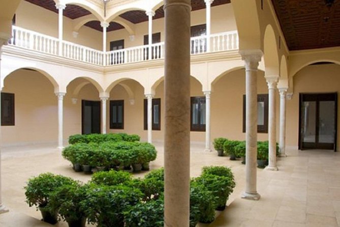 Málaga Picasso Museum Private Guided Tour - Group Size and Accessibility