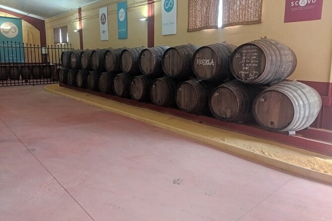 Malaga Winery and Olive Mill Guided & Tasting Tour With Tapas - Cancellation Policy and Reviews