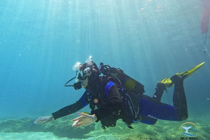 Mallorca PRIVATE Scuba Dive + Photo/Video - Pricing and Booking