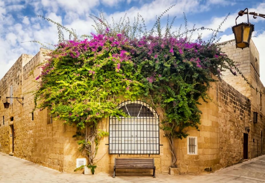 Malta: Mdina, Dingli Cliffs and San Anton Botanical Gardens - Transportation and Logistics