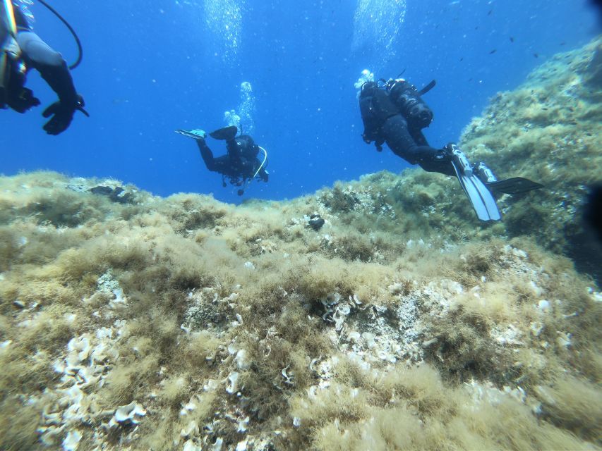 Malta: St. Pauls Bay 1 Day Scuba Diving Course - What to Expect on the Day