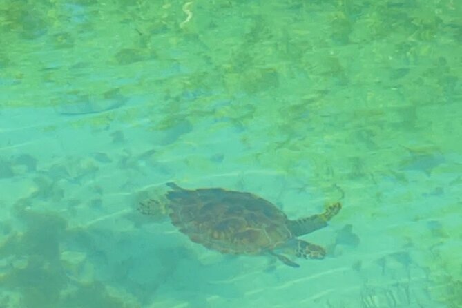 Mangrove Cay And Iguana Island Venture In Turks And Caicos Island - Included Amenities and Gear