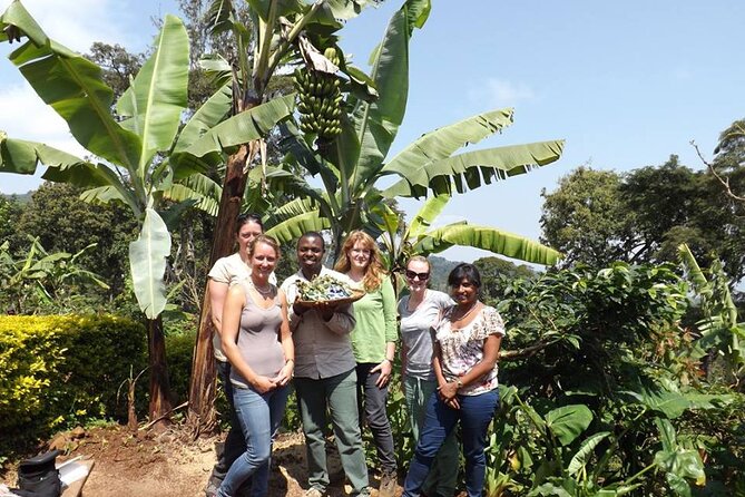 Marangu Waterfall & COffee Making Cultural Tour | BURIGI CHATO SAFARIS CO LTD - Booking Information