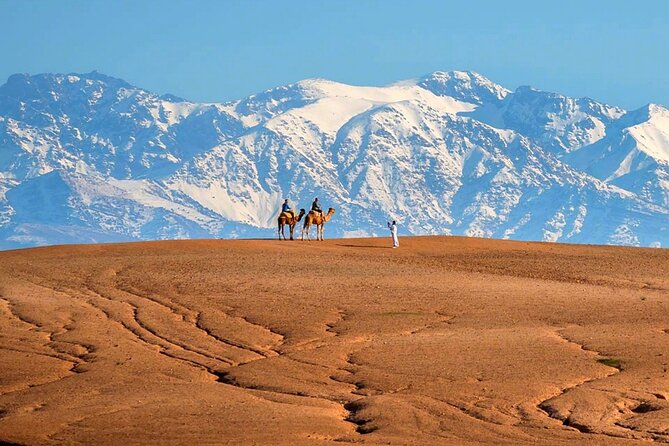 Marical Dinner and Camel Ride at Sunset in Desert of Marrakech - Booking Information