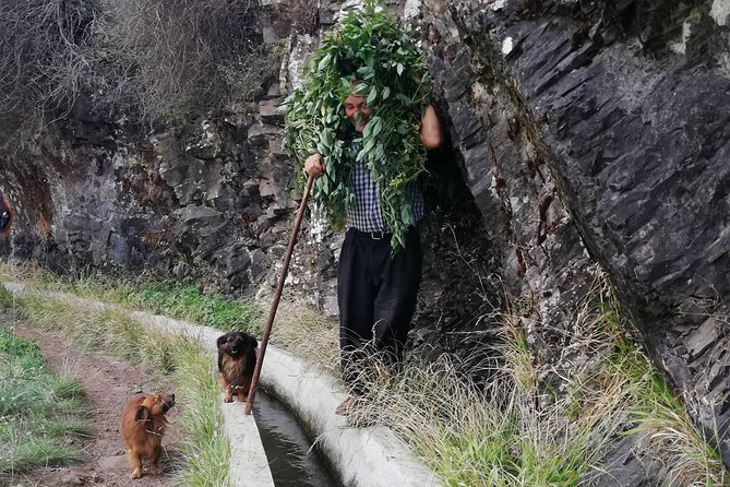 Maroços - Mimosa Valley - Getting There