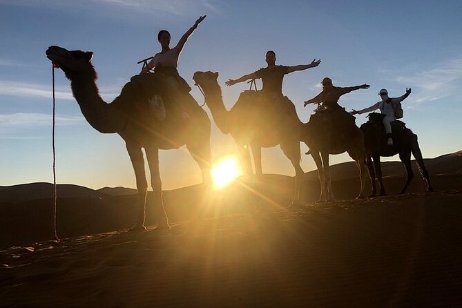 Marrakech: 2 Days Tour to Sahara Zagora Desert & Ait-Benhaddou - Traveler Feedback and Ratings