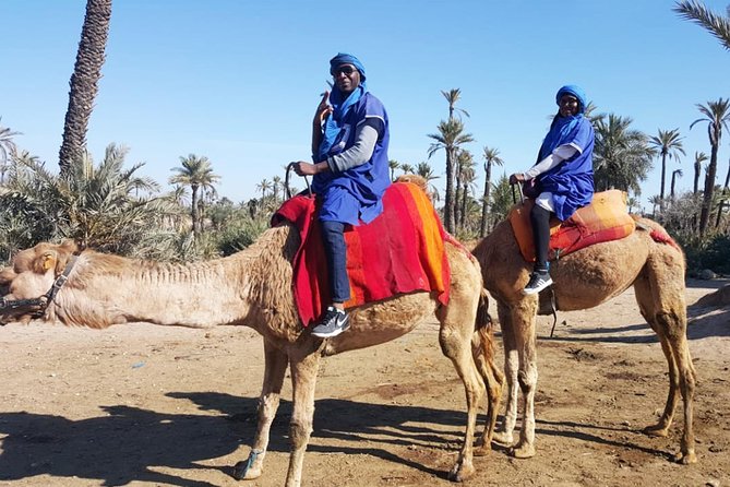 Marrakech Camel Ride & Quad Bike Experience in the Oasis Palmeraie - Tips for Your Adventure