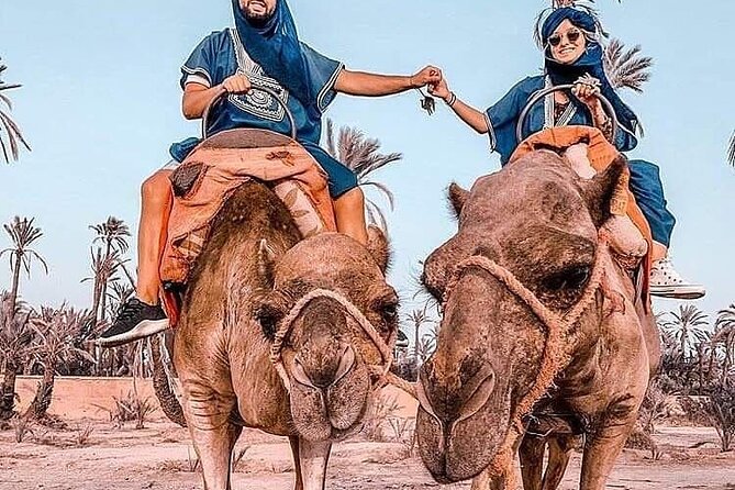 Marrakech Desert Camel Ride - Meeting Point and Pickup