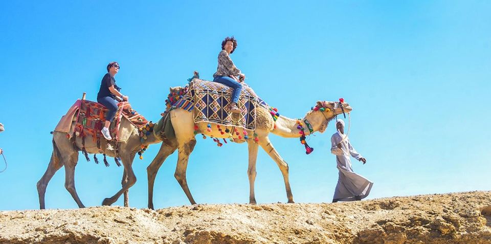 Marsa Alam: Sea and Desert Camel Riding Tour - Best Time to Visit