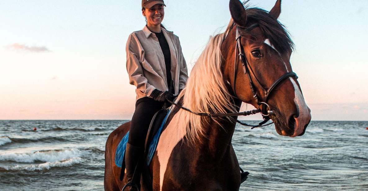 Marsa Alam: Sea and Desert Horse Riding Tour - Booking Information