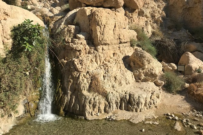 Masada, Ein Gedi and the Dead Sea From Jerusalem - Pricing and Booking Information