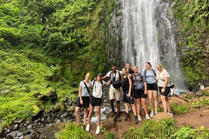 Materuni Waterfall, Coffee Tour and Picnic Hot Lunch - Traveler Experiences and Tips