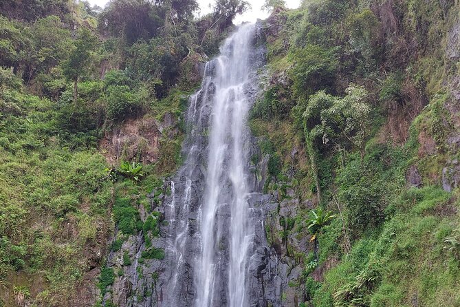 Materuni Waterfalls and Coffee Tour in Moshi - Highlights of Materuni Waterfalls