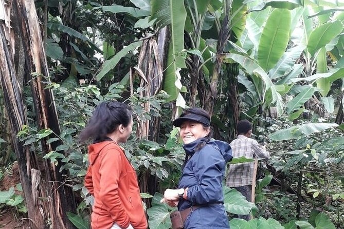 Materuni Waterfalls,Coffee Tour & Kikuletwa(Chemka)Hot Springs - Cancellation Policy