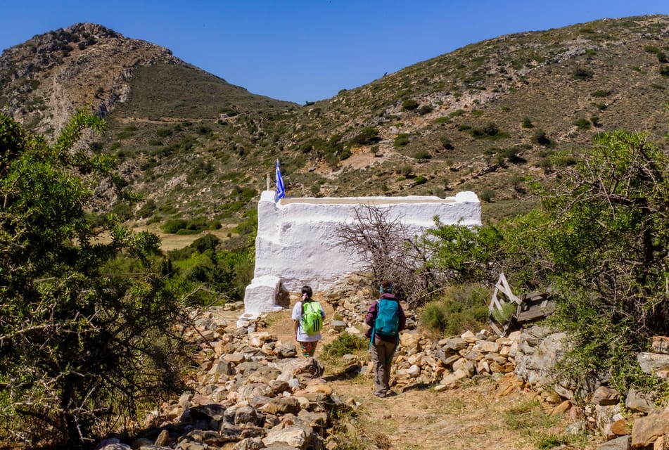 Meet the Trees in Cyclades Hiking Tour (Private Experience) - Exploring the Unique Ecosystem