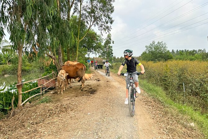 Mekong Delta 2 Days 1 Nights Cycling Trip - Activities and Attractions