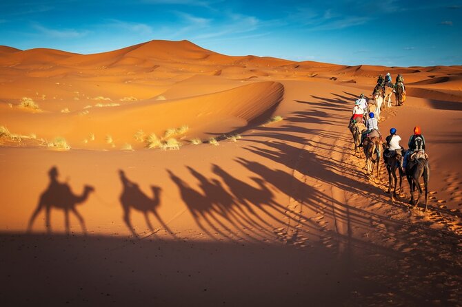 Merzouga Camel Ride & Overnight Desert Camps - Tips for Travelers