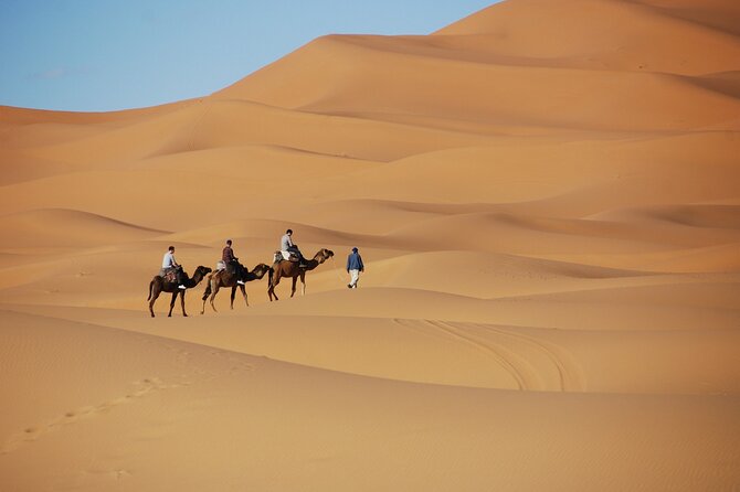 Merzouga Desert Campsite &Camel Excursions - Contact and Booking Details
