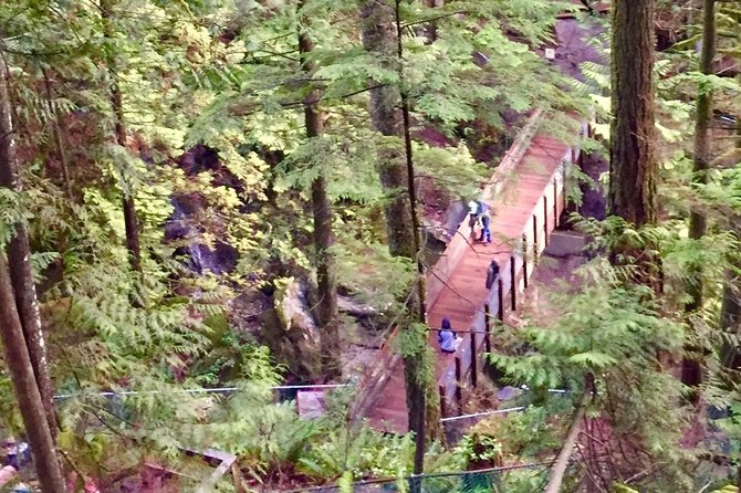 Mesmerizing Nature Walk in Lynn Canyon Park - Temperate Rainforest Immersion