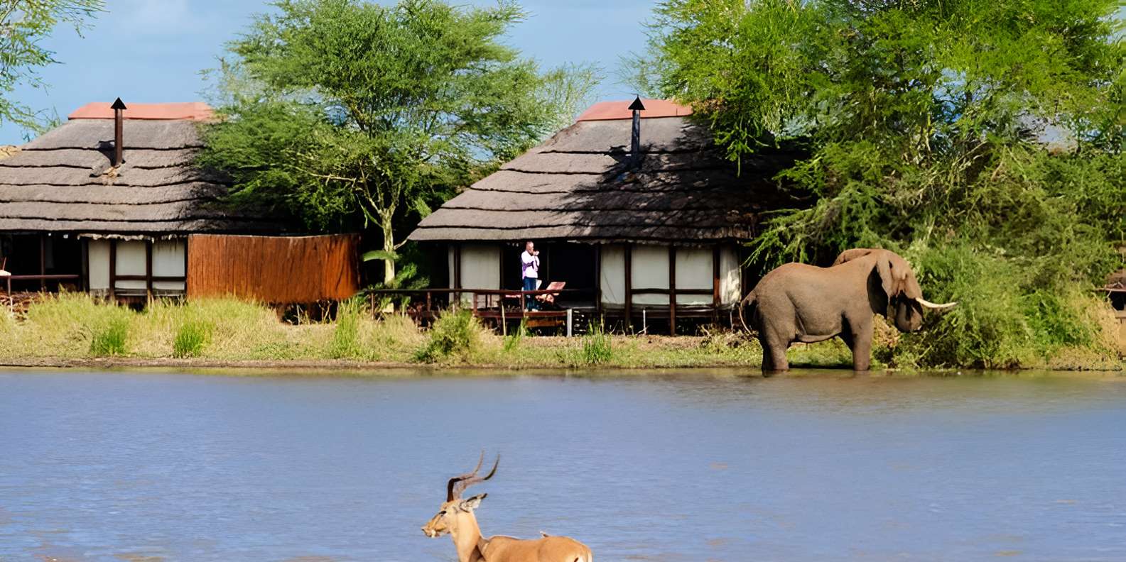 Mid-High End 5 Day All-Inclusive Kruger & Pano Tour From JHB - Tour Inclusions and Exclusions