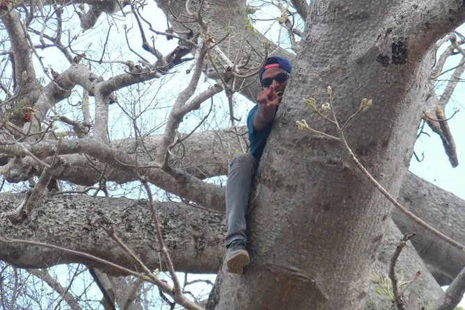 MIKUMI NATIONAL PARK - 3 Days - Inclusions of the Tour