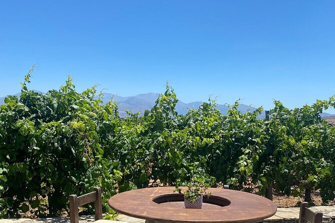 Minoan Crete: Knossos Palace, Winery Visit and Lunch at Archanes - Feedback and Constructive Criticism