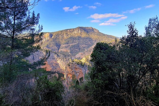Montanejos Village Thermal Springs and Hiking Tour  - Valencia - Public Transportation