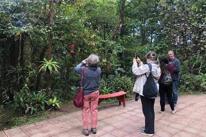 Monteverde Cloud Forest Authentic Experience - Cultural Insights and Experiences