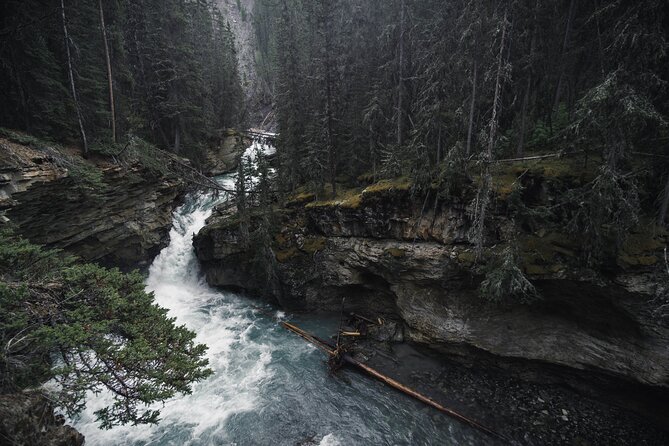 Moraine Lake & Lake Louise Sunset & Wildlife Adventure - Wildlife Encounters