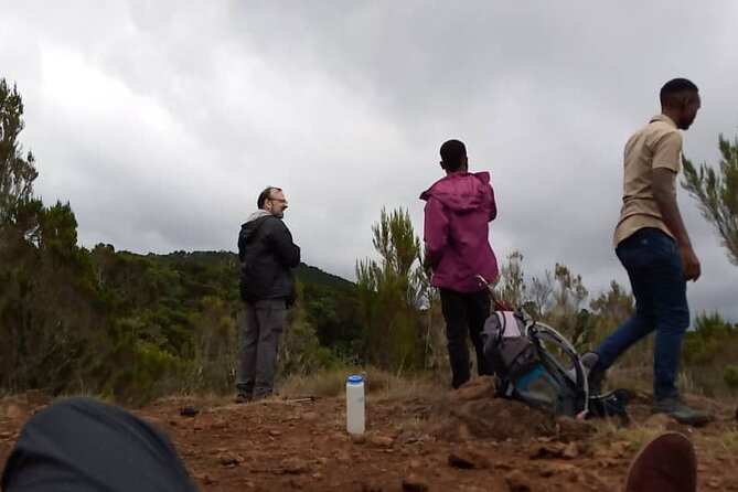 Mount Kilimanjaro Full-Day Hiking via Marangu Route - What to Expect on the Trail