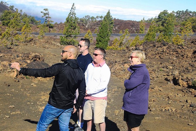 Mount Teide and Teno Country Park Private Tour - Mount Teide Exploration