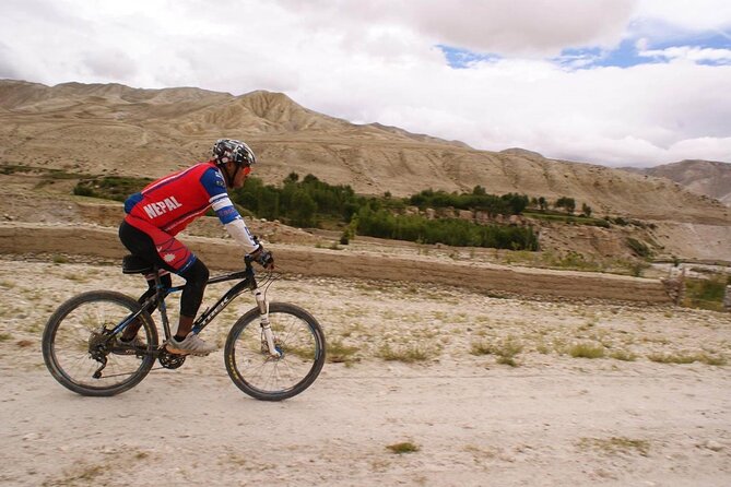 Mountain Bike Tour - Customer Reviews