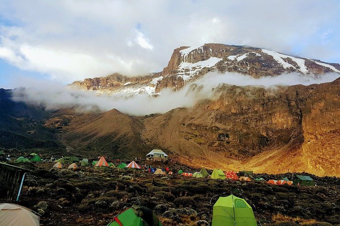 Mt Kilimanjaro Trek, 6 Days - Umbwe Route - Booking and Cancellation Policy