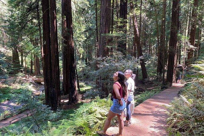 Muir Giant Redwood Trees 3 Hour Private Tour W Golden Gate Bridge - Exploring the Golden Gate Bridge