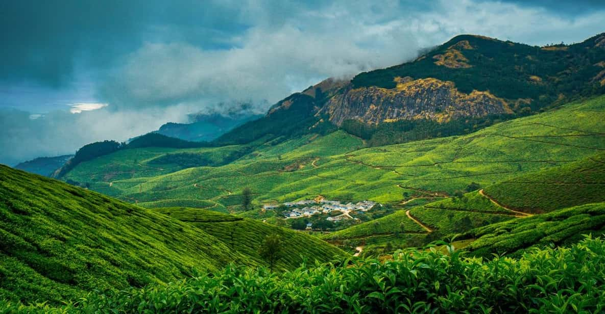 Munnar Day Return Excursion Ex Kochi Covering All Essentials - Flexible Booking