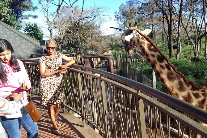 Nairobi National Park, Baby Elephant Orphanage and Giraffe Center - Additional Activities