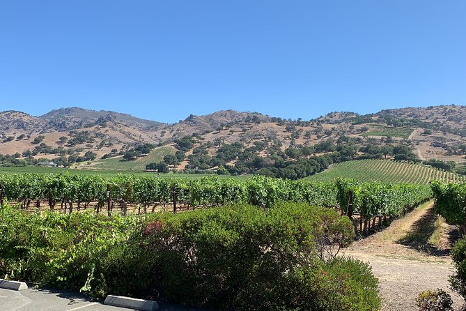 Napa & Sonoma Wine Tour | 6-8hr Private Fully Customized.*XL SUV - Customer Reviews and Feedback
