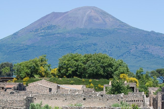 Naples City and Pompeii Half-Day Sightseeing Tour From Sorrento - Discovering Pompeiis Ruins