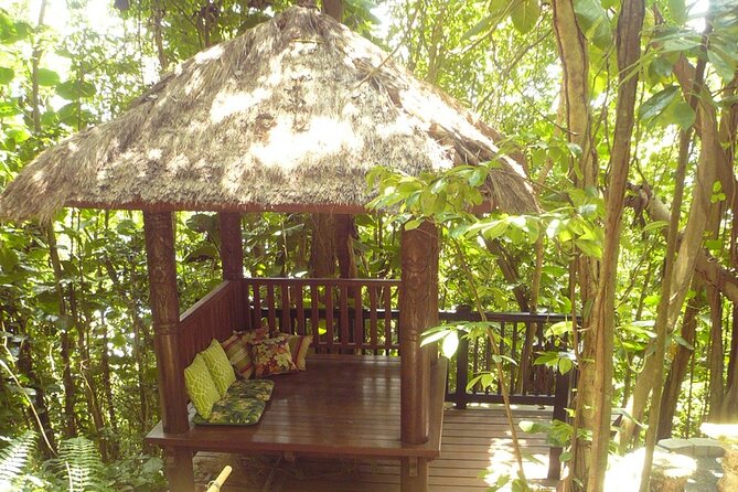 Nature and Sightseeing Tour at Phantasea Tropical Botanical Garden - Transportation Options