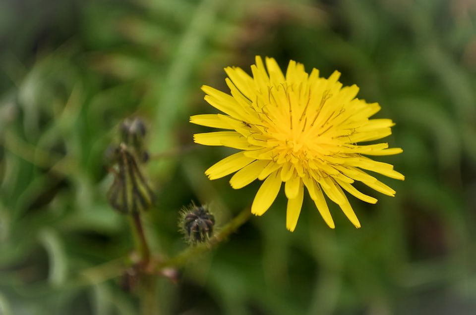 Nature Highlights Private Walking Tour With Transport - Recommended Items to Bring