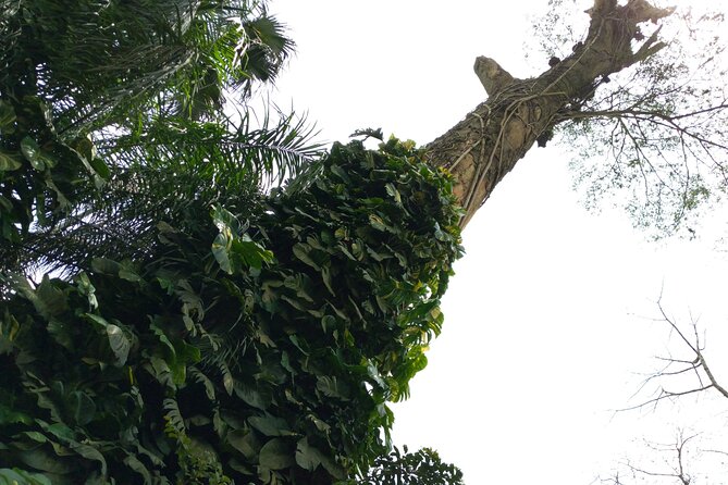 Nature Thrills - Guided Excursion