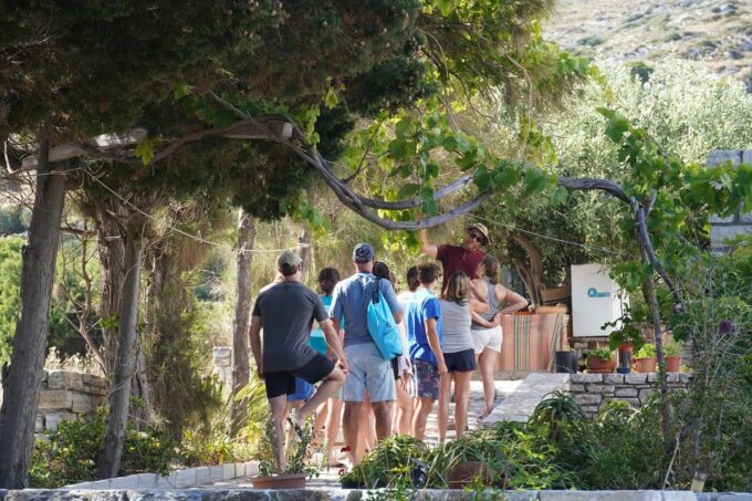 Naxos: Kampos Farm Sea Kayak Tour With Snorkeling & Picnic - Frequently Asked Questions