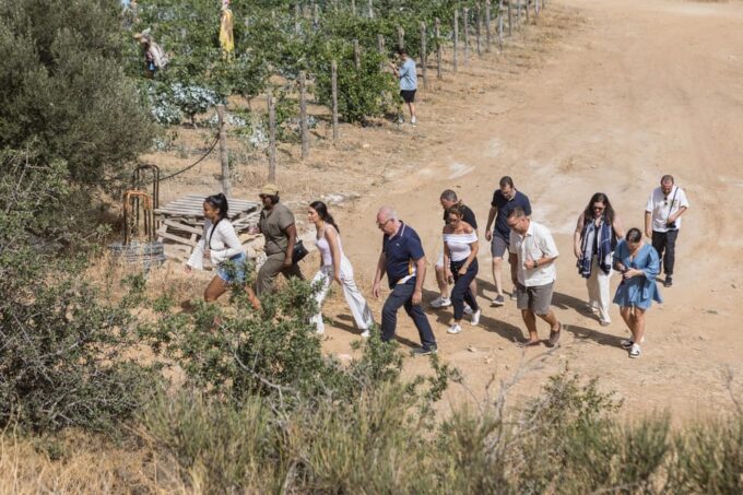 Naxos: Terra Grazia Winery Vineyard Tour and Wine Tasting - Local Specialties