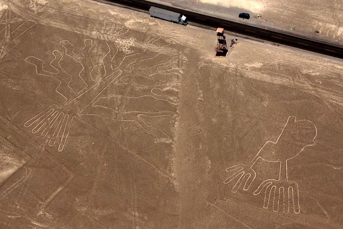 Nazca Lines From Nazca Airport - Accessibility and Medical Conditions