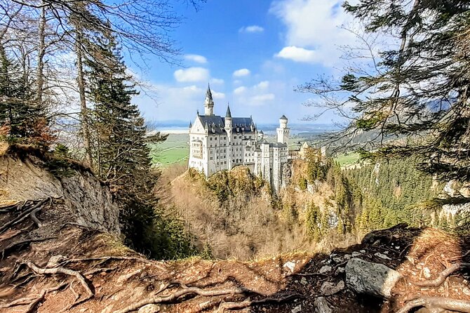 Neuschwanstein Castle and Highline 179 Private Tour  - Munich - Cancellation Policy